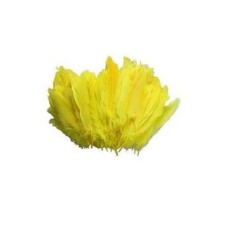 100 lü Sarı Tüy