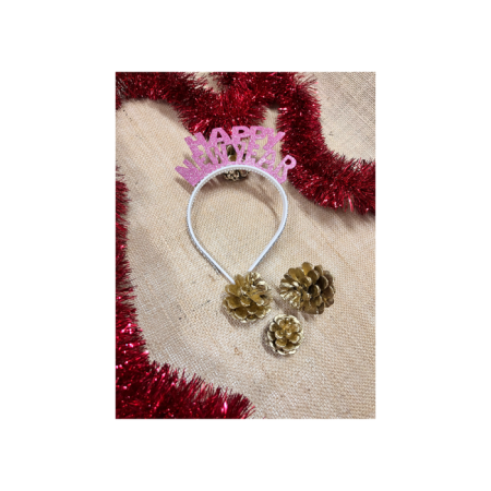 Happy New Year Simli Eva Taç Pembe