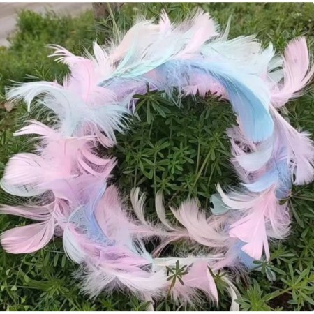 Renkli Tüylü Çember Işıklı Taç