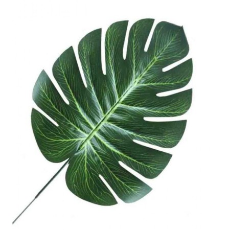 Deve Tabanı Yaprak 19 cm