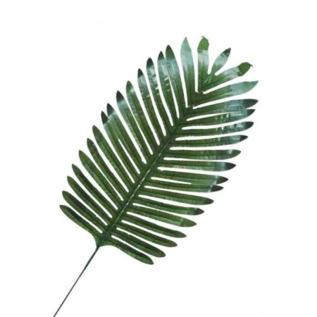 Palmiye Yaprak 35 cm