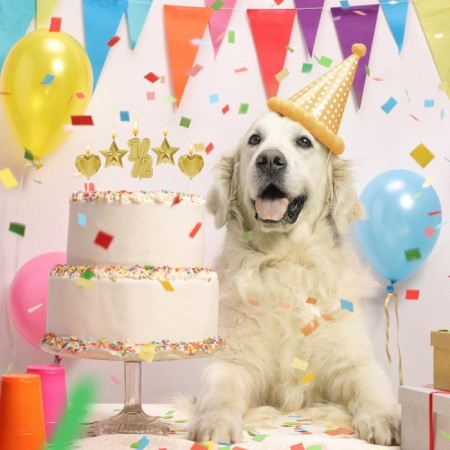 Yarım Yaş Gold Mum 12 cm