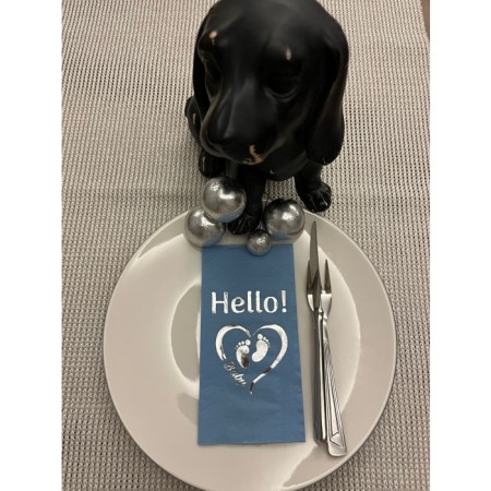 Gümüş Yaldızlı Mavi hello Baby Ayaklı Peçete 16 Adet