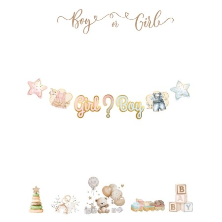 Cinsiyet Belirleme Partisi Varaklı Boy - Girl Elbise Detaylı Kağıt Banner