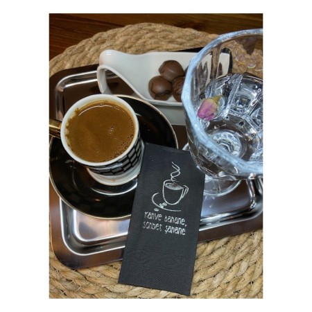 Gümüş Yaldızlı Siyah Kahve Bahane Sohbet Şahane Peçete 6x12 cm